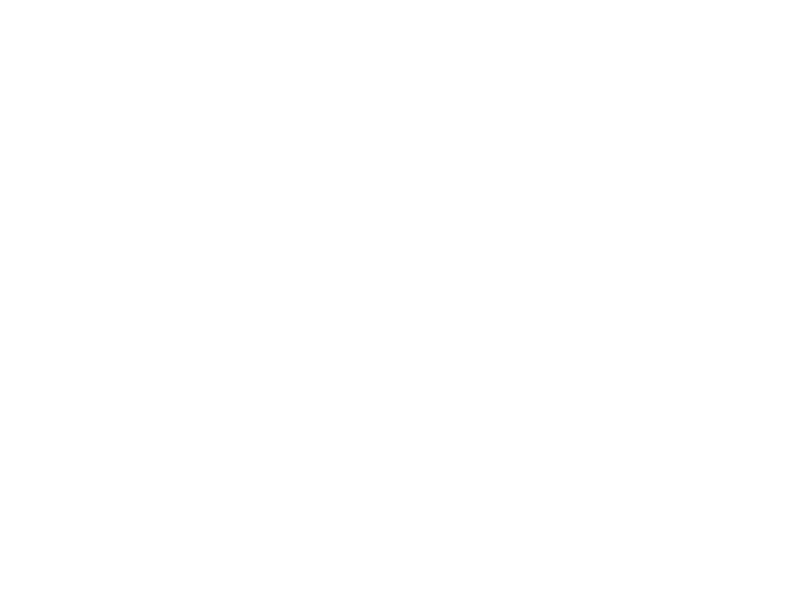Delhipedia